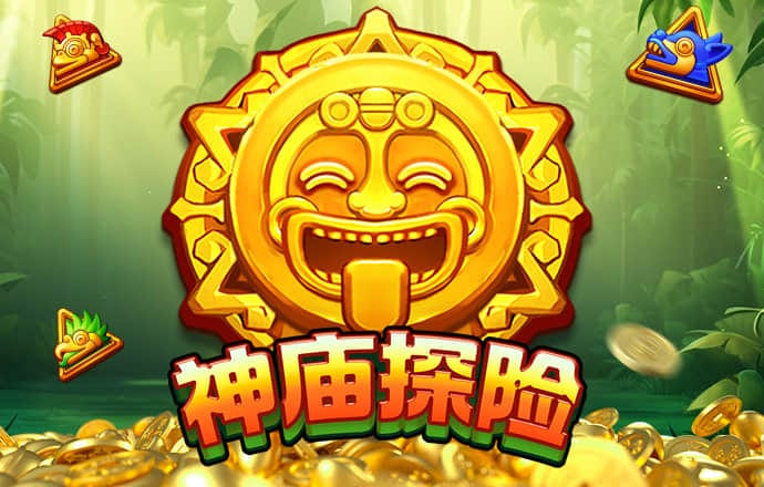 bibo必博体育官方平台入口